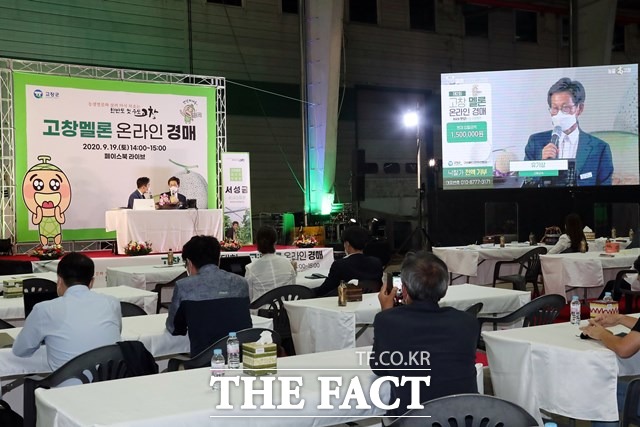 지난해 11월 19일 전북 고창군 고창농산물유통종합센터에서 열린 온라인 멜론 경매에서 한 멜론이 210만 원에 낙찰됐다.