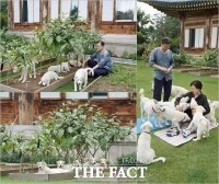  靑, '이 시국에 풍산개 새끼 공개' 비판에 '국정은 항상 긴박'