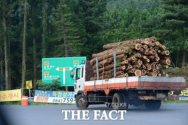 3일 오후 4시 48분쯤 칠곡군 기산면에서 작업을 하던 A씨(50대)가 나뭇더미에 깔려 심정지 상태로 발견됐다. 사진은 본 내용과 관계없음./더팩트DB