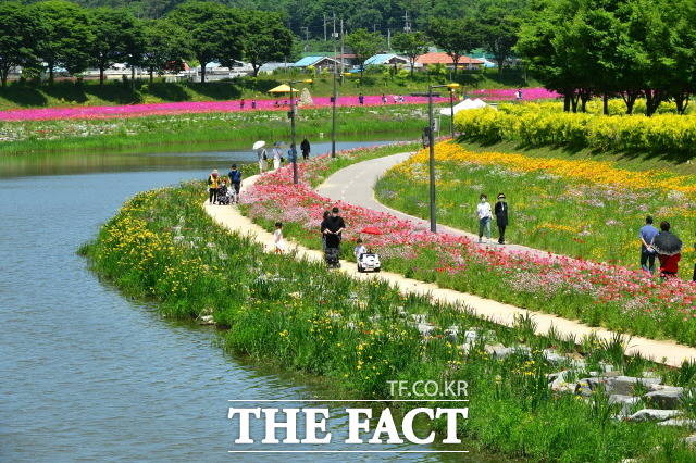 장성군이 오는 11월까지 ‘장성 다시 보기’ 시범사업을 운영한다. 사진은 계절꽃이 활짝 핀 장성 황룡강./장성군 제공