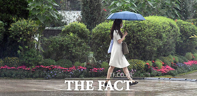 이슬이 맺히고 가을의 시작을 알린다는 절기 백로(白露)인 7일 오전 서울 광화문 거리의 한 시민이 우산을 쓴 채 걸음을 재촉하고 있다. /이새롬 기자