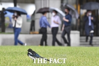  [오늘의 날씨] 흐리고 약한 비…일교차 10도 이상