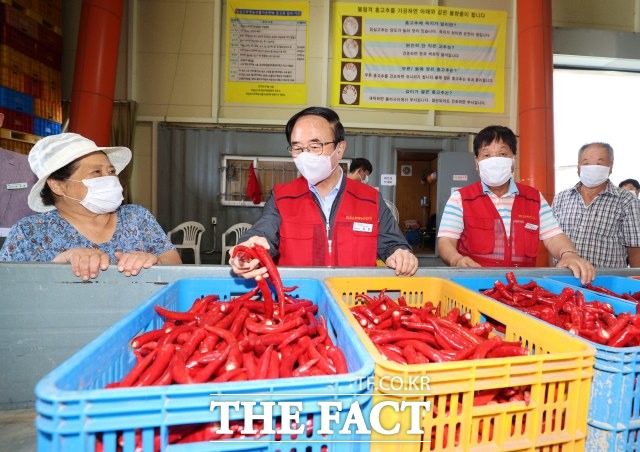 전북 임실고추앤농산물가공판매(주)가 관내 832 농가를 대상으로 지난 7월 30일부터 오는 30일까지 수매 중이며 올해 계획량은 1450톤이다고 밝혔다. /임실군 제공