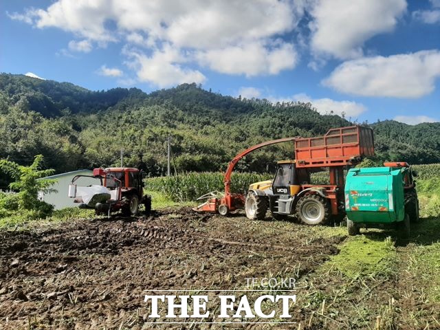 전북 장수군이 농기계 조작이 어려운 농업인 및 고령농 등을 대상으로 농가의 일손부족 해결을 위해 11월까지 수확철 농작업 대행을 실시한다고 9일 밝혔다. /장수군 제공