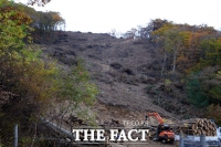  예천 야산서 70대 인부 나무에 다리 깔려...부상