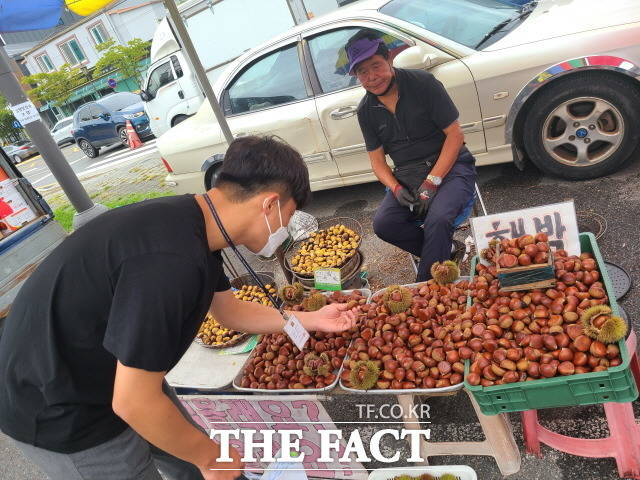 국립농산물품질관리원 담양사무소는 오는 20일까지 농식품 선물꾸러미와 제수용품에 대한 원산지 표시 일제 단속을 실시한다고 10일 밝혔다./국립농산물품질관리원 담양사무소 제공