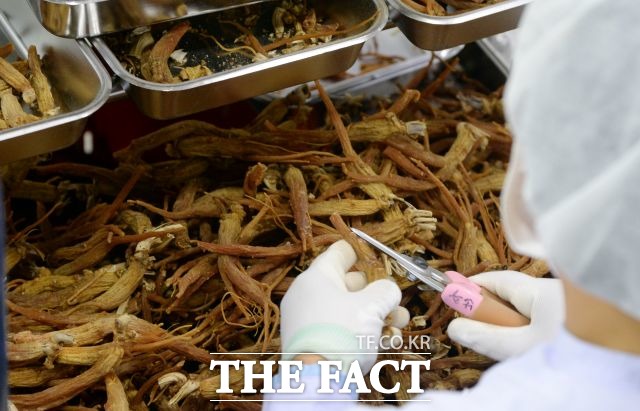 서울시보건환경연구원에 따르면 다양한 홍삼 제품 중 건강기능식품과 일반 가공식품에서 진세노사이드 함량이 두 배 가량 차이가 나는 것으로 조사됐다. 사진은 해당기사와 직접적 관련 없음. /임영무 기자