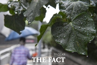 [오늘의 날씨] 일교차 10도 이상 초가을 날씨…'옷차림 유의하세요'