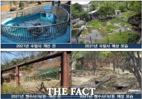  청주동물원, 11억원 투입 수달사·맹수사 리모델링 공사