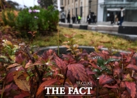  [오늘의 날씨] 연휴 마지막 날... 오전 곳곳에 빗방울