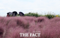  [오늘의 날씨]일교차 큰 초가을...흐리지만 청정