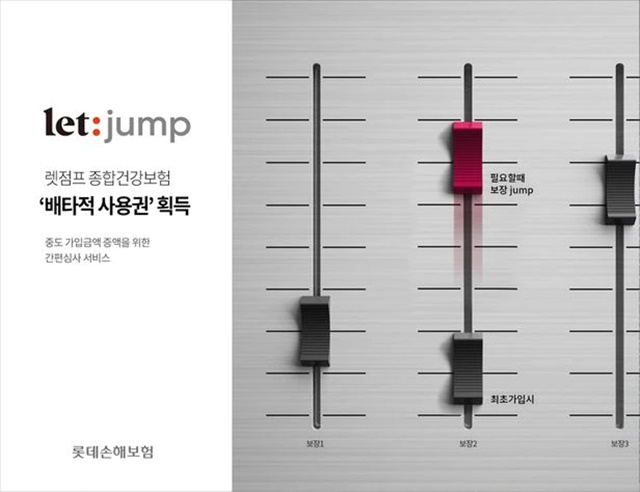 롯데손해보험이 손해보험협회로부터 배타적 사용권을 부여받았다고 30일 밝혔다. /롯데손해보험 제공