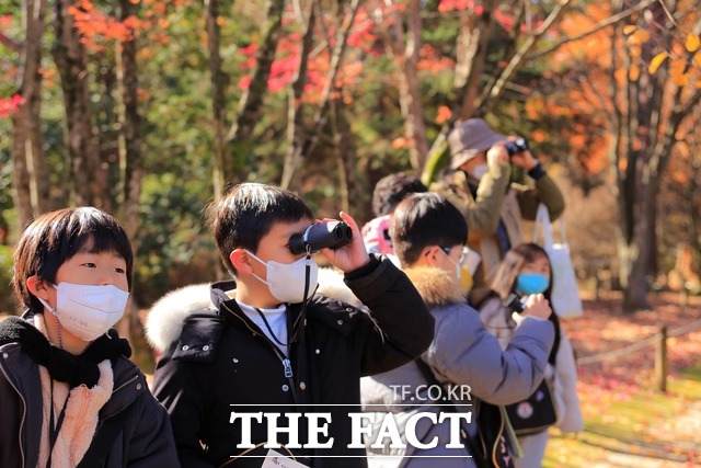 광릉숲 곳곳을 관찰하며 탐사하는 우리 산림생물 바로알기 탐험대 활동 모습. /국립수목원 제공