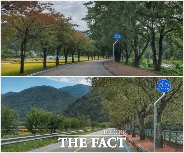 전북 무주군이 오는 15일까지 향로산로와 남대천 제방 길 등 관내 자전거도로 26개 노선에 대한 안전점검을 실시하고 노후 및 파손이 된 시설물에 대해서는 대대적인 보수를 진행한다. /무주군 제공