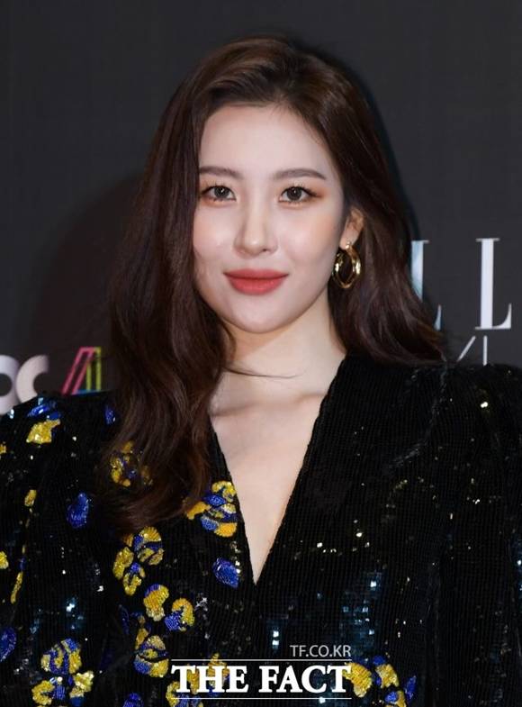 소속사 어비스컴퍼니가 소속 가수 선미를 보호하기 위한 악플러 법적 조치를 예고했다. /더팩트 DB