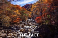  지리산 단풍 10월 넷째주 ~11월 첫주 절정