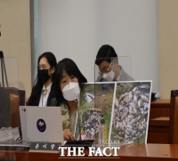  경남 창녕 우포늪 붕어 집단폐사 '심각'…윤미향 의원 국감서 직격