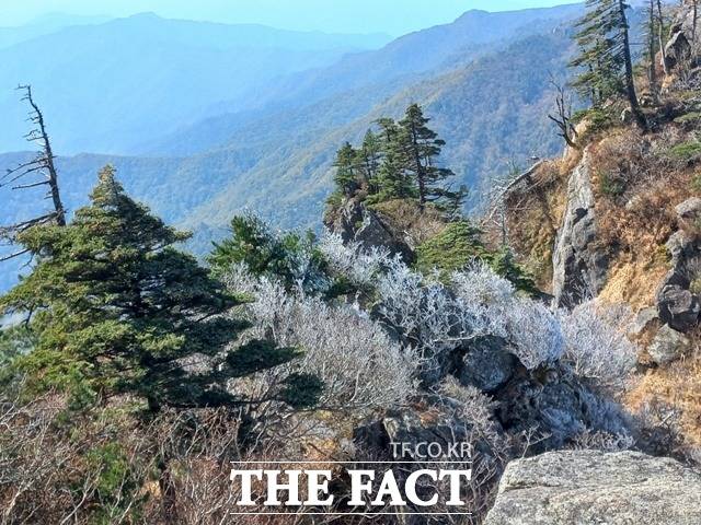 지리산에 핀 상고대/지리산 경남사무소 제공