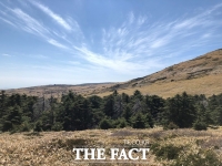  구상나무 등 멸종위기 고산 침염수림 생태계 정밀 조사