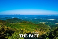  10월의 국유림 명품숲에 고창 '문수산 편백숲'