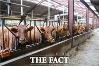  양양군, 축산 경쟁력 재고 위한 한우농가 사료 지원