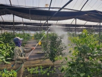  제주 농업기술원, 자가배양 미생물 활용 농업 경쟁력 향상