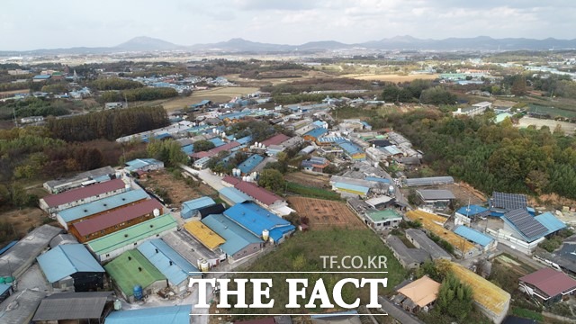 익산시는 현업축사 매입사업이 원활하게 추진되면서 왕궁정착농원의 돼지 사육두수가 대폭 감소했다고 25일 밝혔다. /익산시 제공