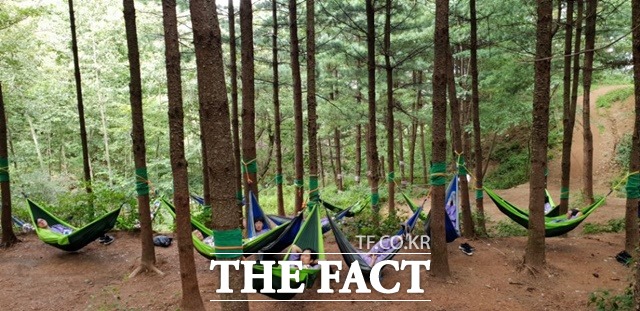 국립산림치유원 / 산림청 제공