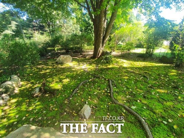 국립수목원 이끼원 모습. /국립수목원 제공