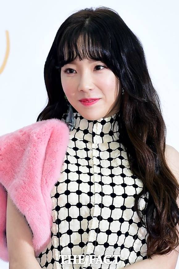 소녀시대 태연이 기획부동산 사기 피해에 가족 보금자리로 구매한 것. 미쳤다고 투기하겠냐고 입장을 밝혔다. /더팩트 DB