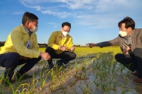  제주도, 마늘 피해 현장 점검 및 간담회 개최