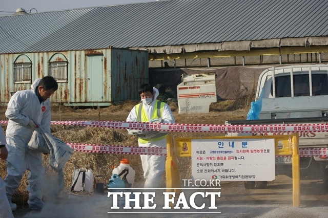 충남 천안에서 포획된 야생 조류에서 고병원성 조류인플루엔자(AI)가 검출돼 천안과 아산시가 긴급 방역에 나섰다. 사진은 지난해 천안시의 AI 방역모습. / 천안시 제공