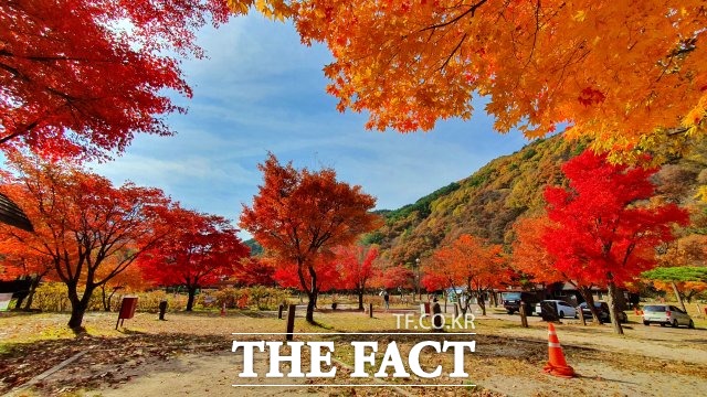 지리산국립공원 달궁자동차야영장 /지리산국립공원전북사무소 제공