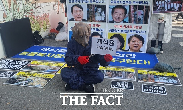 이원복 한국동물보호연합 대표가 2일 오후 서울 광화문광장 앞에서 윤석열 국민의힘 대선 경선 후보의 식용 개 관련 발언을 비판하는 퍼포먼스를 하고 있다. /정용석 기자