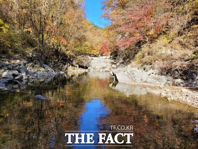 수요일인 3일은 낮과 밤의 기온차가 10~15도 이상 벌어질 것으로 보인다. 일교차가 큰 요즘들어 감기환자가 급증하는 만큼 건강에 주의하는 것이 좋겠다. /더팩트 DB