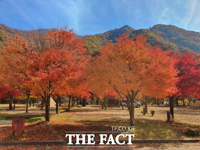 지리산국립공원 달궁자동차야영장 /지리산국립공원전북사무소 제공