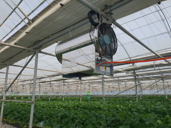 제주농업기술센터가 시설딸기 및 만감류 3개소에 지원하는 LPG 연소식 탄산가스 발생기./제주도 제공