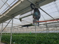  제주농업기술원, 시설과채류·과수 탄산가스 공급 시범 추진