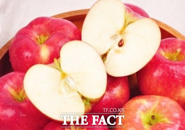 정읍시 농업기술센터 이완옥 소장은 “품질이 우수한 정읍 사과의 저장 기술 향상으로 출하 시기 조절과 신선한 사과 공급을 위해 힘쓰고 있다”며 “농가소득 향상에 큰 보탬이 되길 바란다”고 말했다. / 정읍시농업기술센터 제공