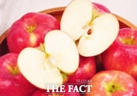  정읍시농업기술센터, 사과 수확기 저장 기술지원 적극 나서