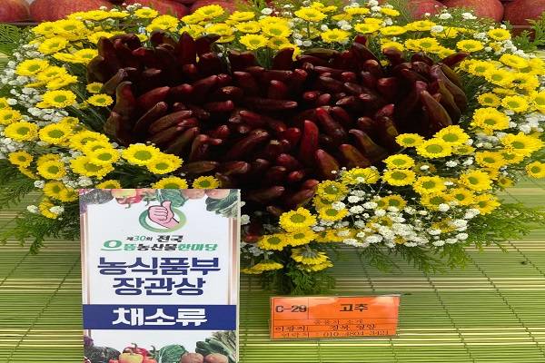 ‘제 30회 전국으뜸농산물한마당’ 서 한국농업경영인 영양군연합회가 출품한 영양고추가 채소류 부문 대상인 ‘농림축산식품부장관상’을 받아 그 위상을 여실히 증명했다. /영양군청 제공