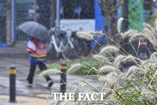 10일은 전국 대부분 지역에서 비가 내리겠고 일부 내륙 산지에는 눈이 쌓이겠다. /더팩트 DB