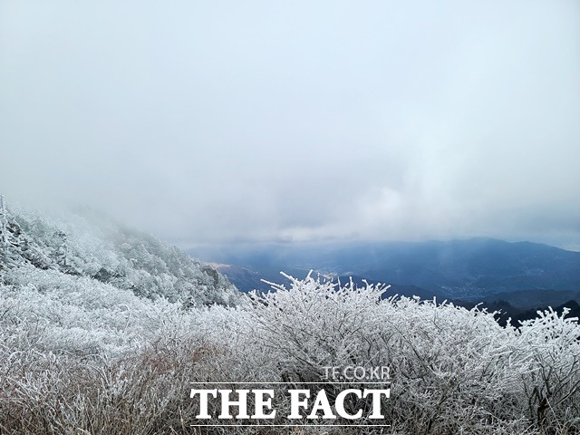 지리산 천왕봉 일대에 핀 새하얀 상고대/지리산국립공원경남사무소 제공