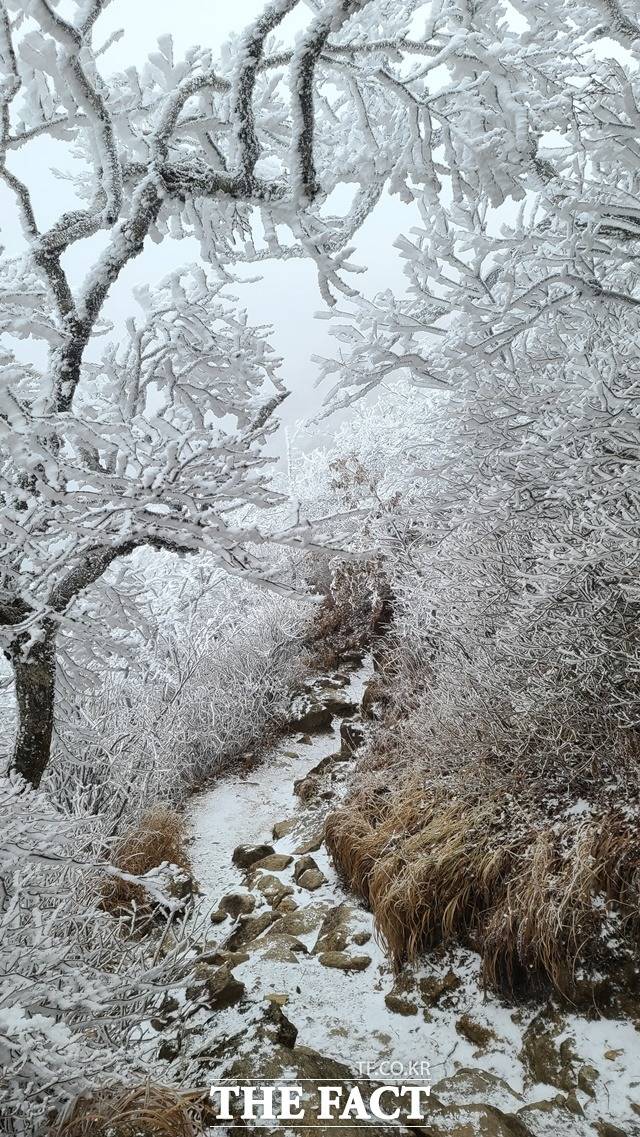 지리산 새하얀 상고대의 절경/지리산국립공원경남사무소 제공
