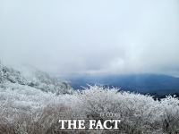  지리산 천왕봉의 겨울왕국 [TF사진관]