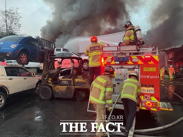천안 한 폐차장에서 10일 화재가 발생해 소방당국이 진화작업을 벌이고 있다. / 천안동남소방서 제공