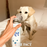  하동군 소재 지리에어, 반려동물용 공기캔 '지리에어펫' 출시