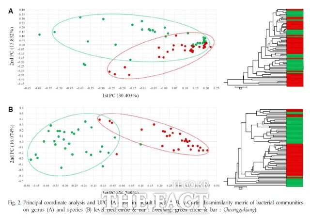 전북 순창군 (재)발효미생물산업진흥원이 한국 전통 발효식품인 된장과 청국장의 미생물 군집 차이를 차세대 염기서열분석법(NGS, Next Generation Sequencing) 통해 규명하는데 성공했다고 11일 밝혔다. 사진 된장, 청국장 시료 분석 차이 도표. /순창군 제공