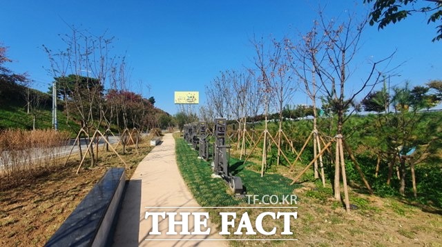 고양시가 장항동 수변지역 자투리 땅에 도심 숲을 조성했다./고양시 제공