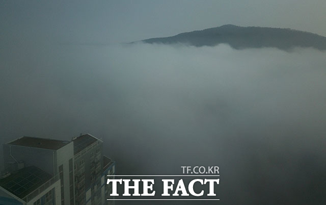 월요일인 15일은 건조하고 내륙 중심으로 안개가 짙게 끼겠다./더팩트 DB